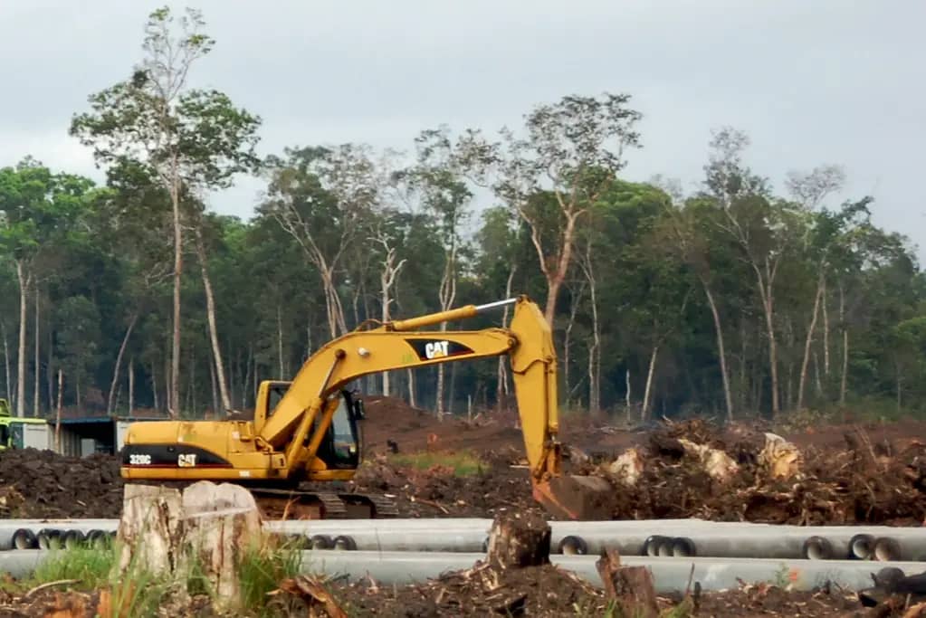 How to Start a Land Clearing Business